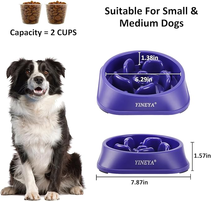 YINEYA Slow Feeder Dog Bowls, Pet Supplies That Slow Down Eating, Pet Food Bowls, Maze Dog Puzzle Feeder for Medium Breed | Dog Food Bowl Slow Down Eating Prevents Bloat, Promotes Healthy Digestion, Puzzle Feeder Interactive Makes Meal Time Fun - Image 5
