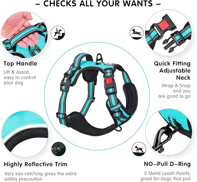 PoyPet Dog Harness Medium, No Pull Vest with Front/Back Clip & Neck Buckle | No Choke, Lockable, Reflective, 2 Lead Rings, Adjustable, Soft Padded Handle for Training Walking, M, Mint Blue - Image 4
