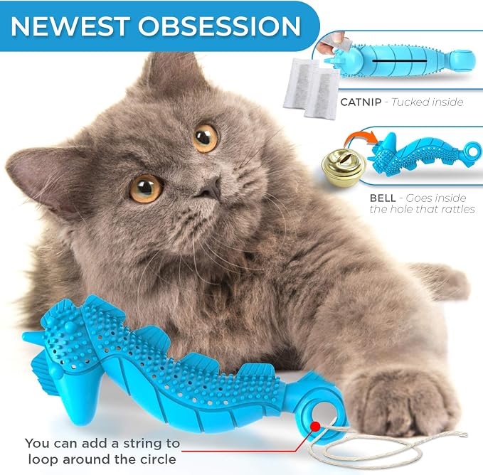 Ronton Cat Toothbrush Catnip Toy - Durable Hard Rubber - Cat Dental Care, Cat Interactive Toothbrush Chew Toy (1 Pack_Seahorse) - Image 3