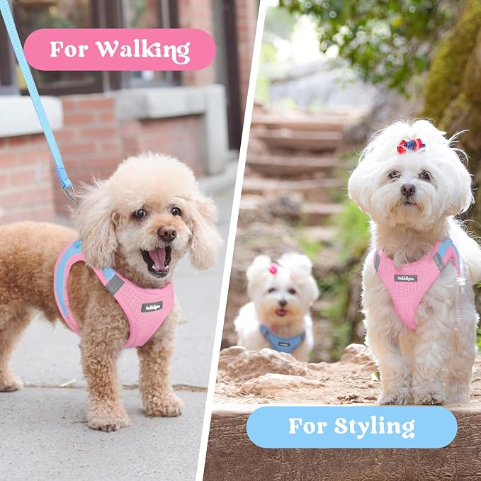 rabbitgoo Step-in Small Dog Harness, Puppy Vest for Medium Sized Pet | Easy Put on and off, Lightweight, Soft, Breathable Quick-Dry Air Mesh for Comfortable Secure Walking, Blue & Light Pink XXL - Image 9