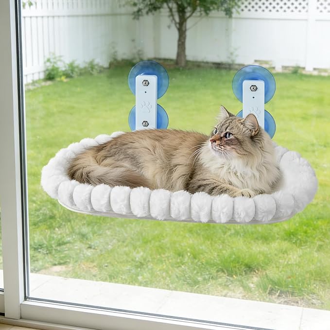 YooxArmor Foldable Cat Window Perch, Cat Bed with Strong Suction Cups & Metal Frame, Window Hammock for Indoor Large Small Cats, Oval by YooxArmor