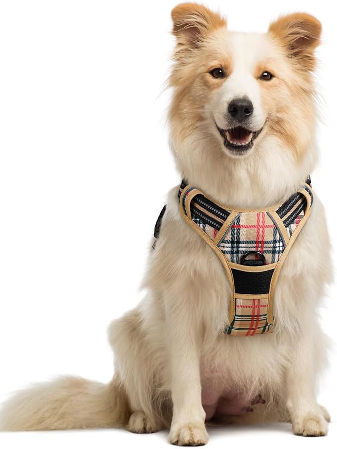 rabbitgoo Dog Harness, No Pull Medium Sized with 2 Leash Clips, Pet Vest | No Choke with Handle, Adjustable Soft Padded, Reflective, Easy Control for Walking, Beige Plaid, Medium by rabbitgoo