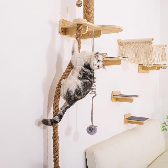 Cat Wall Shelves, Large Wall-Mounted 6-in-1 cat Furniture Set (Climbing Rope+Sisal Scratching Post+Macrame Resting Hammock+Interactive Toys Ball+Feeding Bowls Station+3 Wall Steps) for Indoor Kitties - Image 6