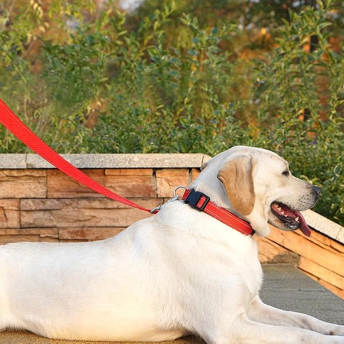 6 FT Basic Dog Leash for Large Dogs,Red | Padded Handle,Metal D-Ring,Heavy Duty Nylon Webbing, for Walking & Training - Image 3