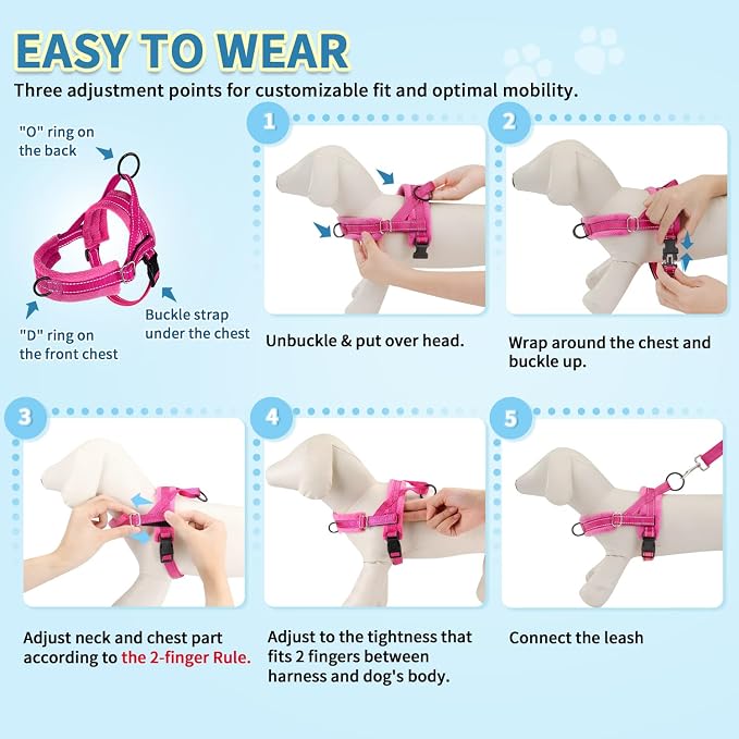 SlowTon No Pull Small Dog Harness and Leash Set with Front Clip | Soft Padded, Neck & Chest Adjustable, Lightweight, Anti-Twist, Puppy Vest Harness Pet Lead Combo for Small Medium Dog, FU, M - Image 9