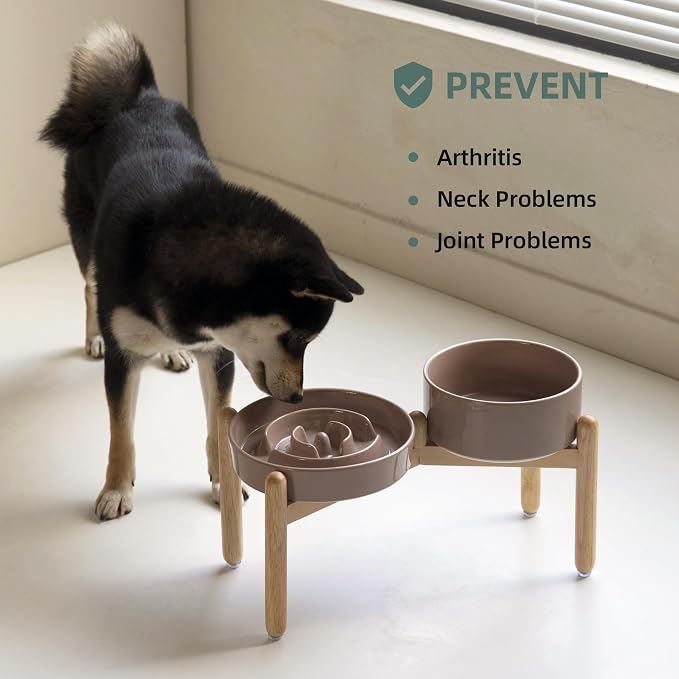 Havniva Elevated Slow Feeder Dog Bowls, Ceramic Dog Bowl Slow Feeder Set | 1.6 Cups Raised Slow Feeder Dog Bowl for Medium Breed, 7.3” Dog Water Bowl with Wooden Stand, Puzzle Dog Food Bowl, Non-slip - Image 6