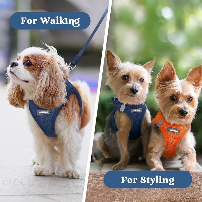 rabbitgoo Step-in Small Dog Harness, Puppy Vest for Small Sized Pet | Easy Put on and off, Lightweight, Soft, Breathable Quick-Dry Air Mesh for Comfortable Secure Walking, Navy Blue XXS - Image 9