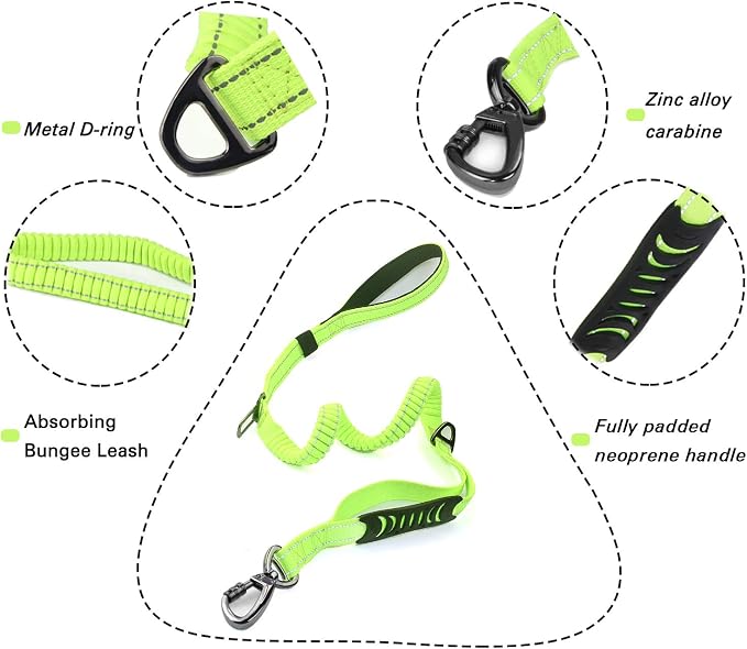 Heavy Duty Bungee Dog Leash with Locking Carabiner for Large Dogs | No Pull Bungee Shock Absorbing, 2 Padded Handles for control, Fits 60-150 lbs Dogs, Seatbelt Buckle, Reflective - Image 2