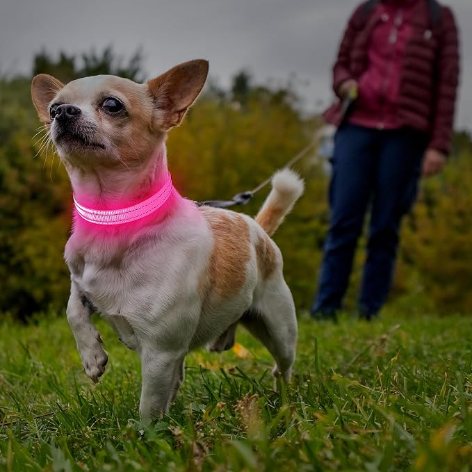 Illumifun LED Dog Collar, USB Rechargeable Light Up Collars, Adjustable Safety Collar Light for Small Dogs Cats Glow in the Dark (Pink, X-Small) - Image 5