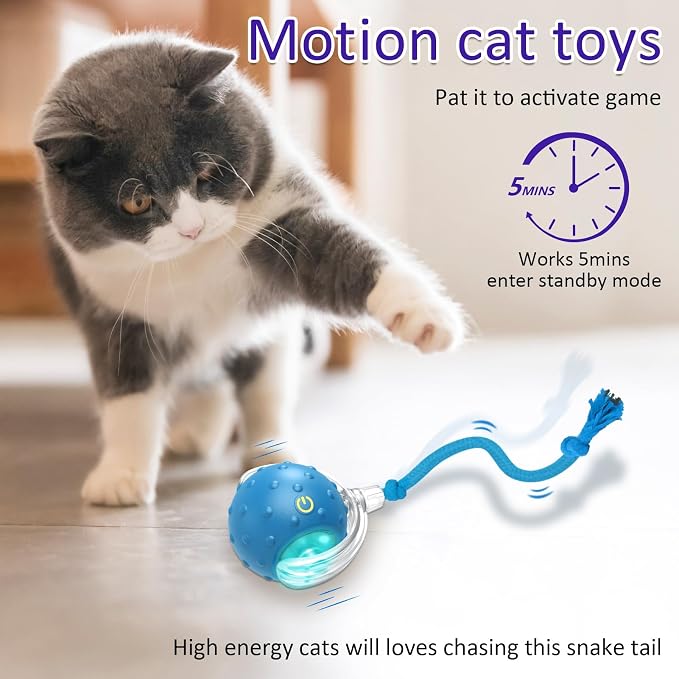 Giociv Interactive Cat Toys Ball for Indoor Cats Fast Rolling on Carpet, Chirping & Motion Activate Cat Toys (Blue) - Image 3