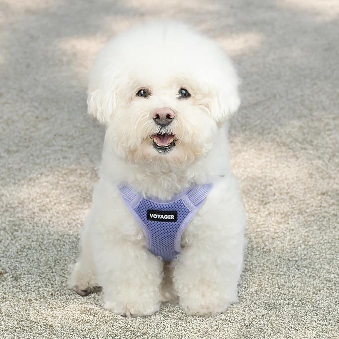 Voyager Step-in Flex Adjustable Dog Harness - Lavender, Small | 15 - 18" in Chest, Fully Adjustable, Reflective Bands, All Weather Breathable Air Mesh, Lightweight, Fast Drying - Image 7
