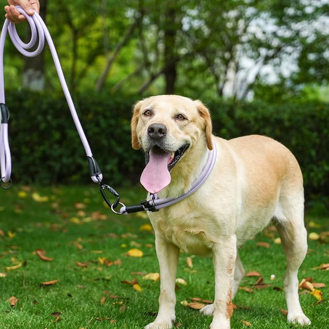 Rope Dog Leash, 4 ft Heavy Duty Dog Leash with Aviation Aluminum Auto Locking Carabiner, Strong Nylon Pet Lead for Small, Medium, Large Dogs (Purple, 4FT) - Image 6