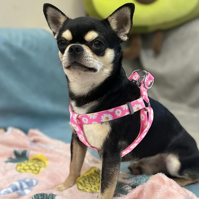 Dog Harness Leash Set Adjustable Heavy Duty No Pull Halter Harnesses for Small Medium Large Breed Dogs Back Clip Anti-Twist Perfect for Walking (S(14"-20" Chest Girth), Daisy) - Image 7