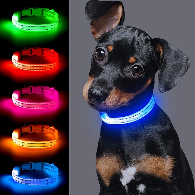 Light up Dog Collar for Small Dog,Vizpet XS Adjustable Size Nylon Collar USB Rechargeable Bright Safety Pet Collar for Cats Dogs (Blue) - Image 2