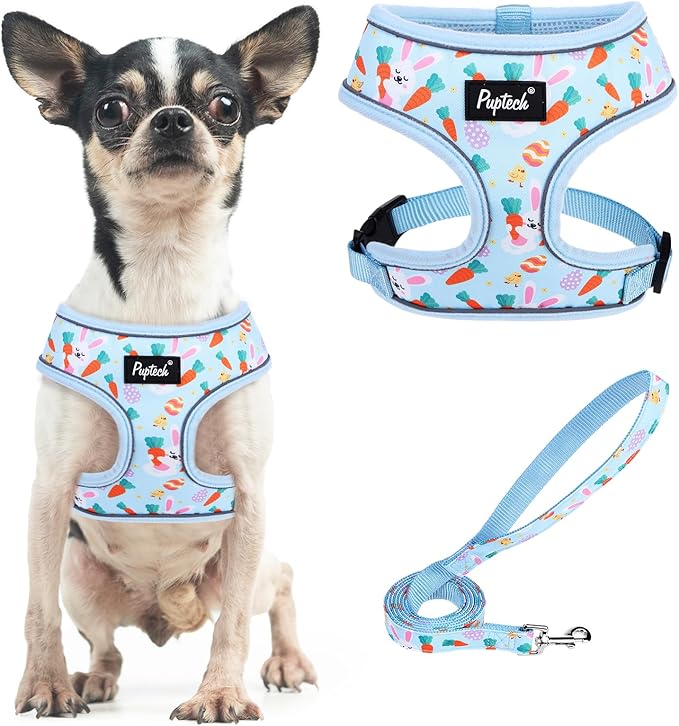 PUPTECK Small Dog Harness and Leash Set No Pull for XS XXS Sized Dogs Puppy | Escape Proof No Choke Pet Cat Adjustable Soft Padded Walking Vest by PUPTECK
