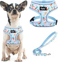 PUPTECK Small Dog Harness and Leash Set No Pull for XS XXS Sized Dogs Puppy | Escape Proof No Choke Pet Cat Adjustable Soft Padded Walking Vest by PUPTECK