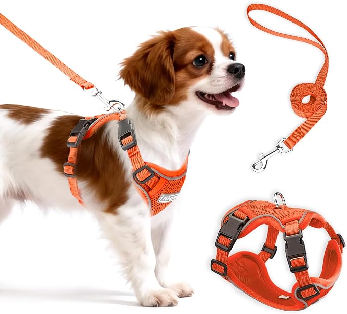 Small Dog Harness and Leash Set, Adjustable Small Sized Pet Vest | Reflective Soft Breathable Mesh, 3 Buckles, Adjustable Neck and Chest, Easy on and Comfortable Secure Walking, Orange, M by Unknown