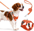 Small Dog Harness and Leash Set, Adjustable Small Sized Pet Vest | Reflective Soft Breathable Mesh, 3 Buckles, Adjustable Neck and Chest, Easy on and Comfortable Secure Walking, Orange, M by Unknown