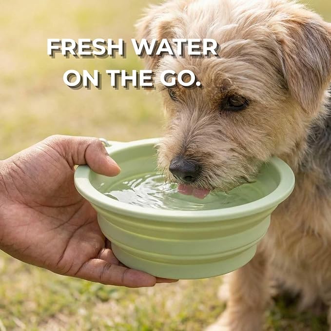 Collapsible Dog Bowls 2 Pack (22oz Each) – Portable Foldable Silicone Travel Bowl Set with Slow Feeder & Carabiner Clip for Hiking Camping Backpack | Dishwasher Safe | for Medium Dogs - Image 2