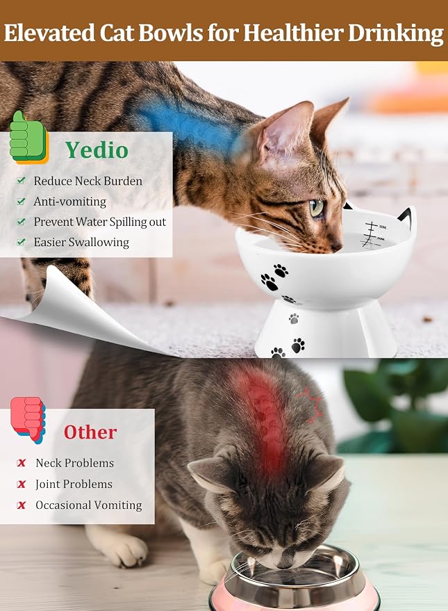 Porcelain Raised Cat Bowl, No Spill Cat Water Bowl with Anti Slip Band, Elevated Porcelain Pet Bowl Protect Pet's Spine, Large Capacity Pet Water Bowl, 15 oz, Dishwasher Safe | Anti Vomiting, Whisker Friendly, Shallow Food Dish and Deep Water Bowl, Ant... - Image 3