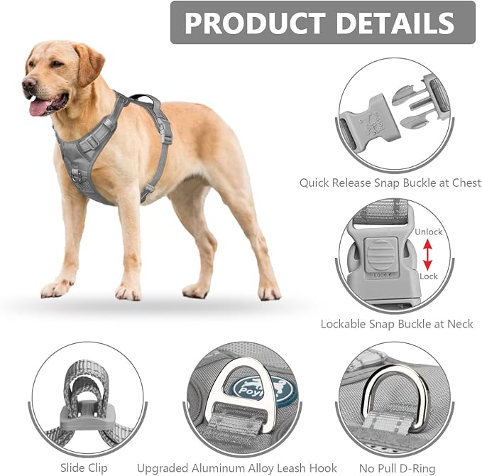 PoyPet No Pull Dog Harness, Reflective Vest with 2 Leash Clips & Handle | Lockable Neck Release Buckle, No Choke, Adjustable, Soft Padded, for Walking Training, Gray, Large - Image 2