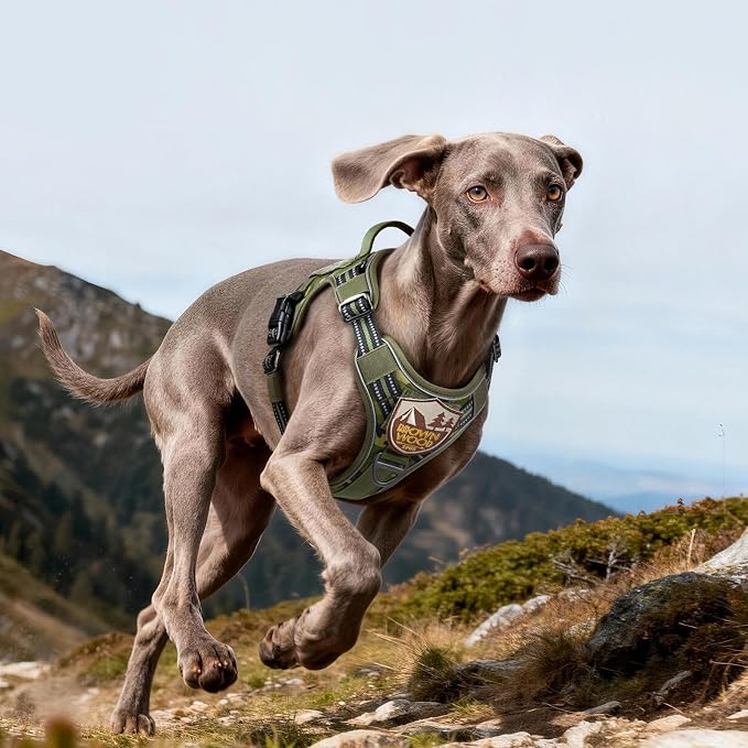 rabbitgoo Tactical Dog Harness for Large Dogs, No Pull Service Pet Vest | Military Molle System & Easy Control Handle, Adjustable and Reflective for Walking and Training, Green Camo, Large - Image 9