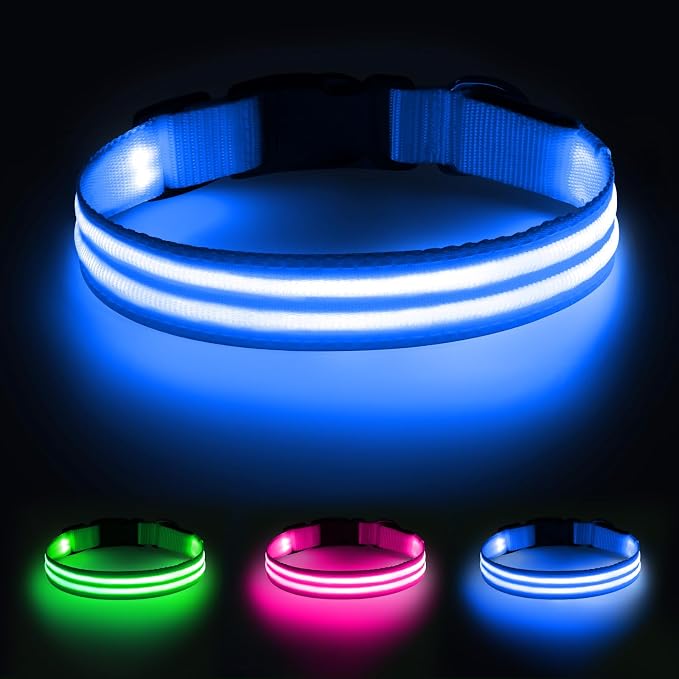 Illumifun Light Up Dog Collar, Rechargeable Water-Resistant LED Dog Collar Glow in the Dark, Flashing Lighted Collars for Pet Walking at Night (Blue, Small) by Illumifun