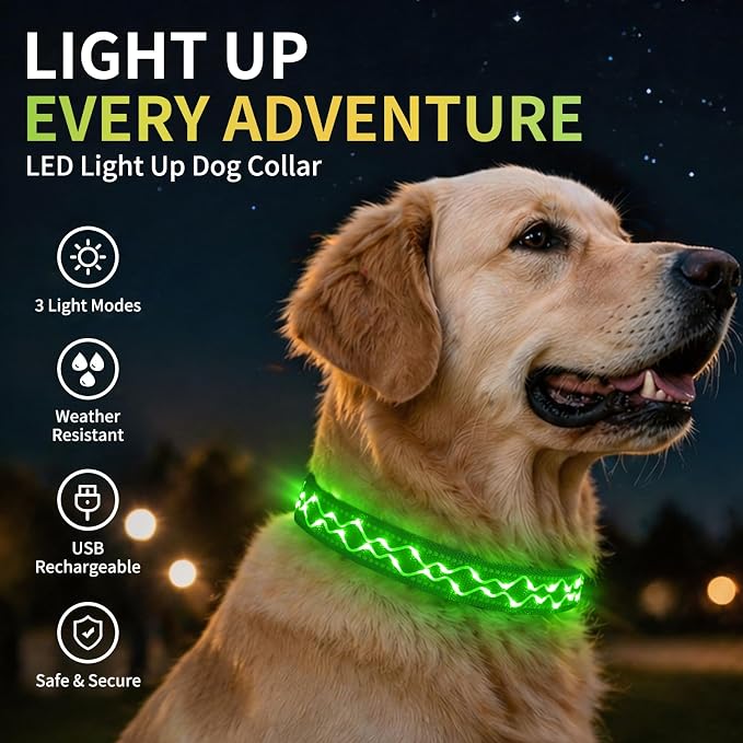 Rechargeable LED Dog Collar for Night Walking, Embroidered Rope Light | The LED light is visible from 360 degrees, anti-loss and enhancing outdoor walking safety(Medium Green) - Image 8