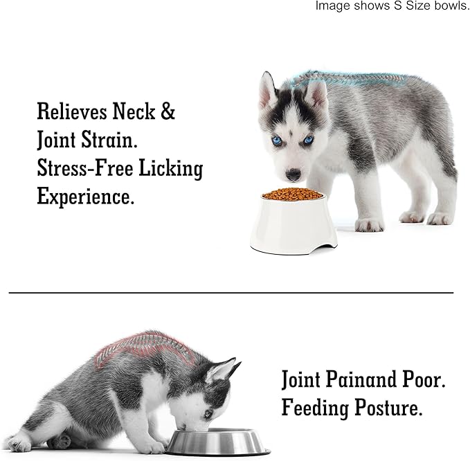 Dog Bowls,Cone Friendly Non Slip Single Dog Bowl with Stainless Steel Inner, Raised Bowls for Small Dogs Spaniel Dogs Long Ear, High Capacity, S/1 Cup White - Image 5