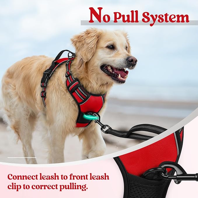 rabbitgoo Dog Harness, No Pull Medium Sized with 2 Leash Clips, Pet Vest | No Choke with Handle, Adjustable Soft Padded, Reflective, Easy Control for Walking, Red, Medium - Image 5