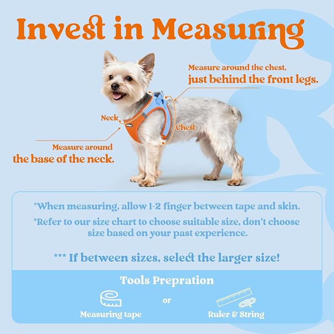 rabbitgoo Step-in Small Dog Harness, Puppy Vest for Small Medium Sized Pet | Easy Put on and off, Lightweight, Soft, Breathable Quick-Dry Air Mesh for Comfortable Secure Walking, Blue & Orange L - Image 2