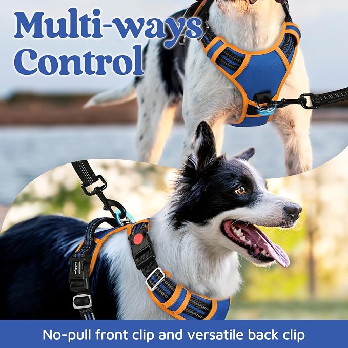 rabbitgoo Dog Harness for Large, No Pull 3 Buckles Easy On & Off | Soft Padded, Walking with Control Handle, Adjustable and Reflective, Royal Blue & Orange, Large - Image 3