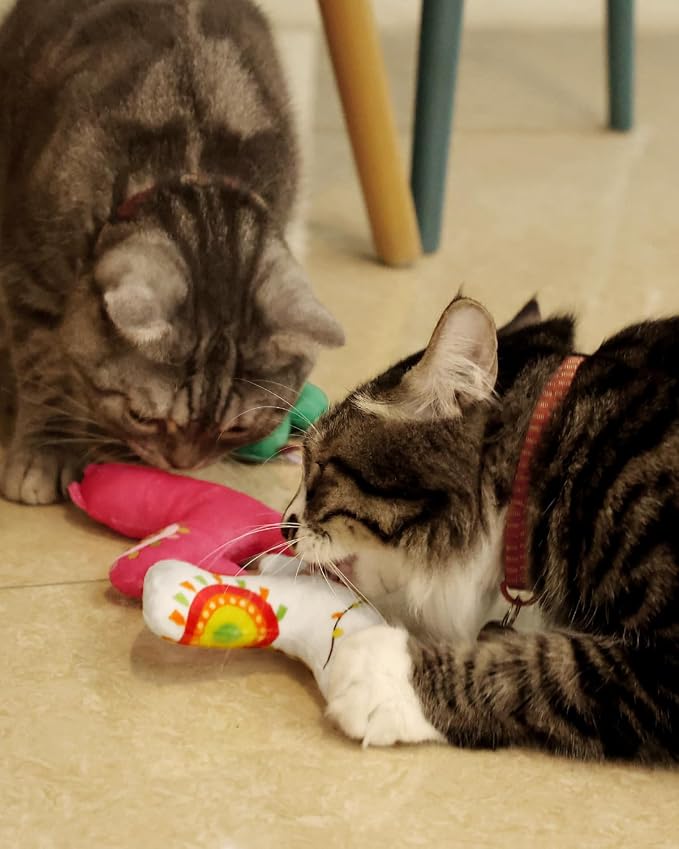 CiyvoLyeen Plush Cactus Llama Catnip Toys for Indoor Cats 5 Pack | Interactive Cactus Llama Cat Chew Toys, Boredom Relief, Soft Durable Plush with Catnip, Funny Gift for Cat Lovers & Kitten - Image 6