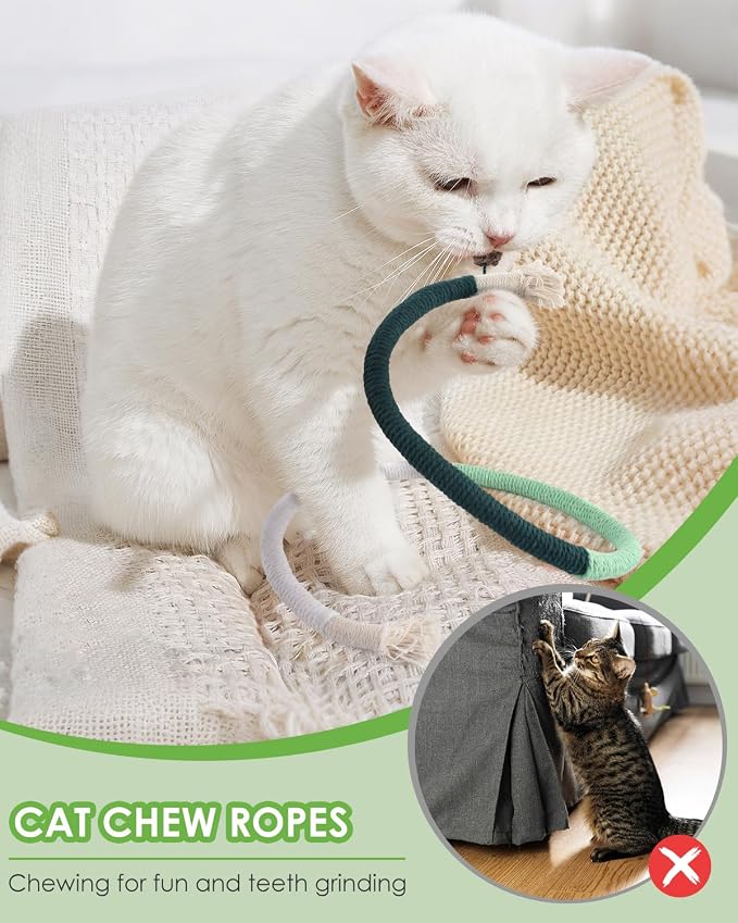 TINDTOP Cat Chew Toys, Silvervine Chew Sticks with 2 Pack Chew Ropes | for Kittens Teeth Cleaning, Increase Appetite, Aggressive Chewers Cat Dental Toy - Image 7