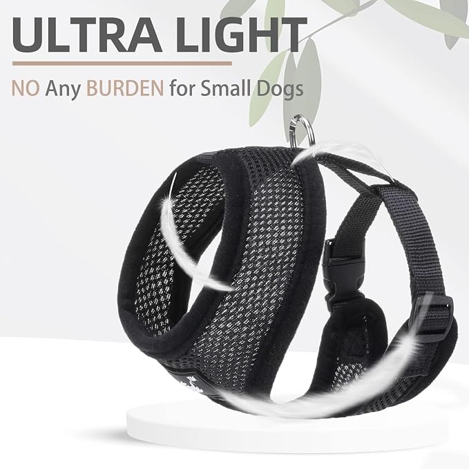 PUPTECK Small Dog Harness and Leash Set No Pull for XS XXS Sized Dogs Puppy | Escape Proof No Choke Pet Cat Adjustable Soft Padded Walking Vest - Image 5