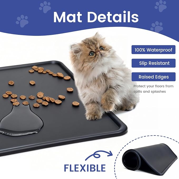 Raised Dog Cat Food Bowl, Cat Food and Water Bowl Set with Water Dispenser, Stainless Steel Bowls and Feeding Mat, Food Feeding Dishes for Indoor Cats and Small Dogs, Black - Image 8