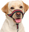 BARKLESS Soft Dog Head Collar, Patented Padded No Pull Head Halter, Training Nose Leash with Safety Link for Medium Large Dogs, Adjustable Muzzle Leash, Easy Control for Walking (M, Red) by Barkless