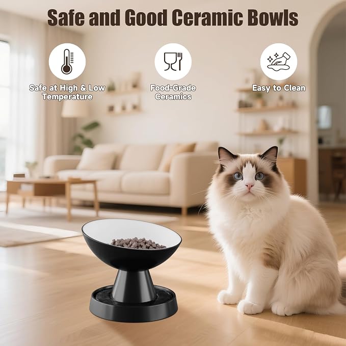 Raised Cat Food Bowl, Ceramic 15° Tilted Cat Bowl(Black) | Ant-Proof Design, for Whisker & Neck Fatigue, Protect Pet's Spine, Titled Anti-Vomiting Cat Dish, All Life Stage - Image 6