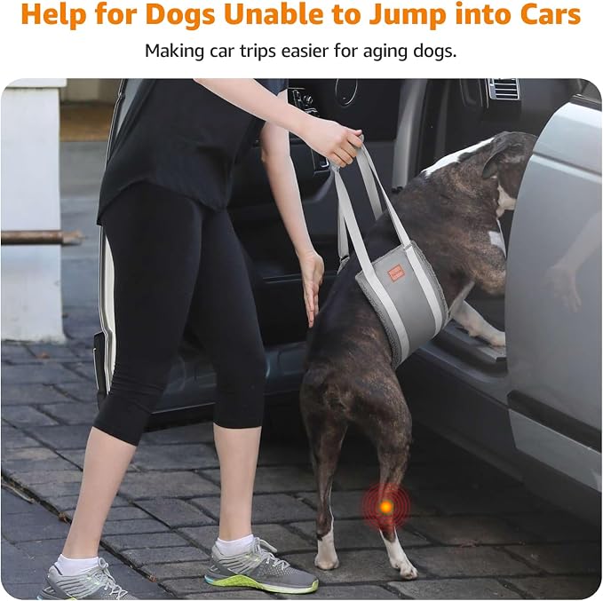 LOOBANI Dog Sling for Large Dogs Hind Leg Support Injury Rehabilitation | Walking & Stair Assistance, Senior Dog Mobility, Padded Comfort, Adjustable Fit, Lightweight Nylon, Soft Plush Lining - Image 3