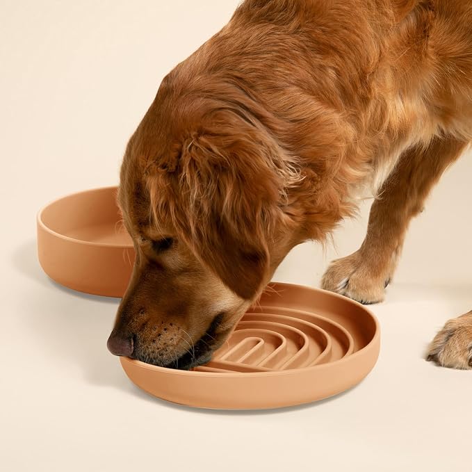 Should We Go? Slow Feeder Dog Bowls - Large Size Silicone Slow Eating Dog Bowl for Puppies & Dogs with Suction Cup -Dishwasher-Safe,Lick Mat Design,Reduces Gulping,for All Breeds,9.5”x1.5”-Terracotta - Image 2