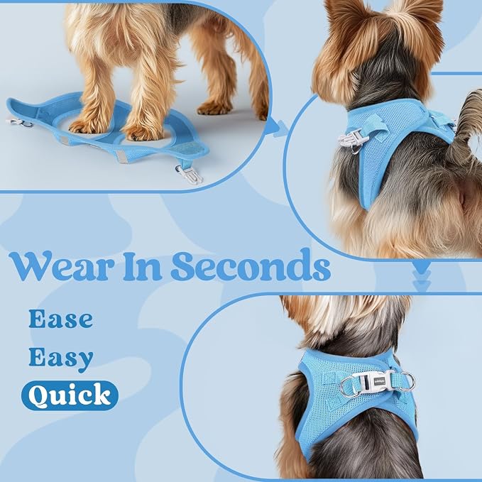 rabbitgoo Step-in Small Dog Harness, Puppy Vest for Small Medium Sized Pet | Easy Put on and off, Lightweight, Soft, Breathable Quick-Dry Air Mesh for Comfortable Secure Walking, Blue L - Image 5