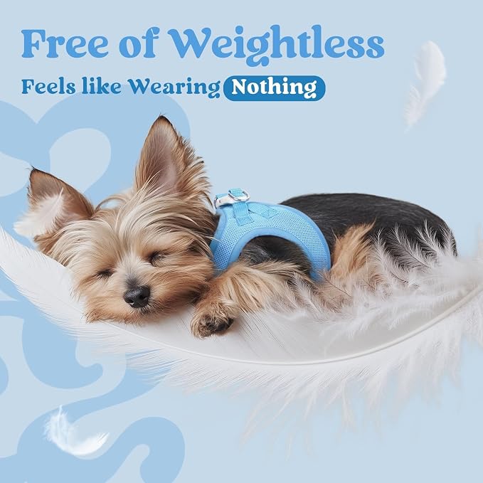 rabbitgoo Step-in Small Dog Harness, Puppy Vest for Small Sized Pet | Easy Put on and off, Lightweight, Soft, Breathable Quick-Dry Air Mesh for Comfortable Secure Walking, Blue XS - Image 4