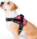 rabbitgoo Dog Harness for Large, Easy On Pet Vest with One Buckle, No Pull Adjustable Service Harness with D-Ring & Handle, Reflective for Safety Walking, Training, Pink, L by rabbitgoo