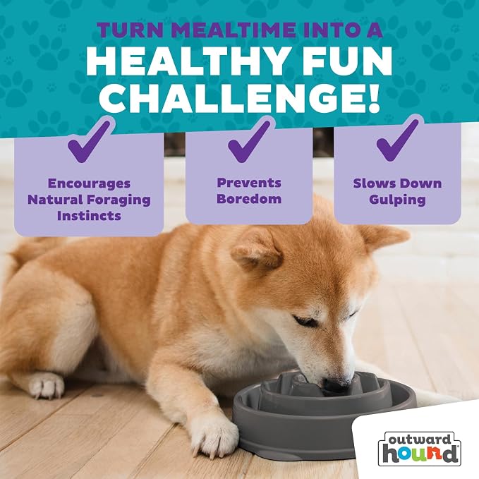 Outward Hound Fun Feeder Slo Bowl – Medium 2‑Cup Capacity,Slow Feeding,Small to Medium Dogs & Cats,Non-Slip,Gray,Drop Pattern,(Pack of 12) - Image 5