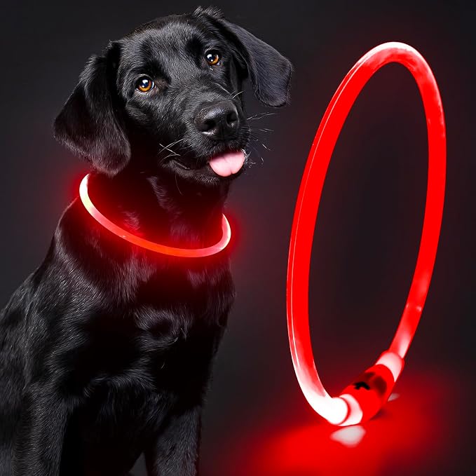 Led Dog Collar - Waterproof Lighted Doggie Collars for Night Rechargeable, High Visibility TPU Cuttable Lighted Pet Collar (Red) by Domagiker
