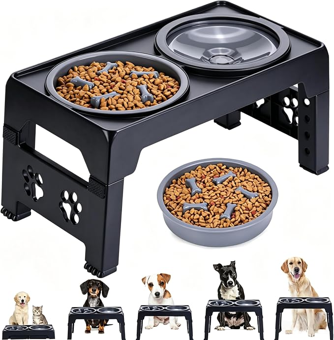 LALOBLUE Collapsible Dog Bowls Raised Elevated Adjust Stand | Elevated Dog Bowls, Dog Bowls Raised, Dog Bowls Elevated,5 Heights Adjustable Elevated Raised Dog Bowls Stand by Laloblue