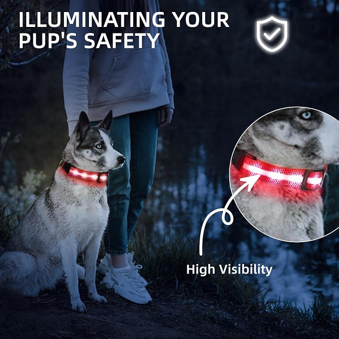 Super Bright LED Dog Collar, Waterproof Light up Collars(Red, S) | Lighted Dog Collar with Adjustable Fit, Soft Nylon Comfort, USB-C Rechargeable, Glow in the Dark Visibility for Night Walks - Image 5