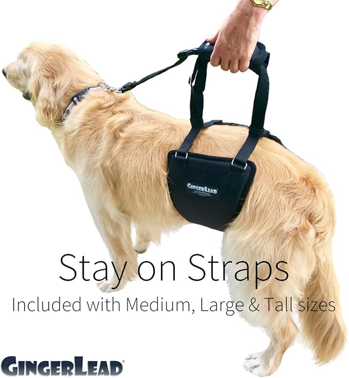 Dog Sling Hind Leg Support, M/LG Unisex with Cutout, Made in USA | Help Pets Walk, K9s Recover from Surgery, Fits Male & Female, Integrated Leash, Machine Wash/Dry, Chest Harness NOT Included - Image 6