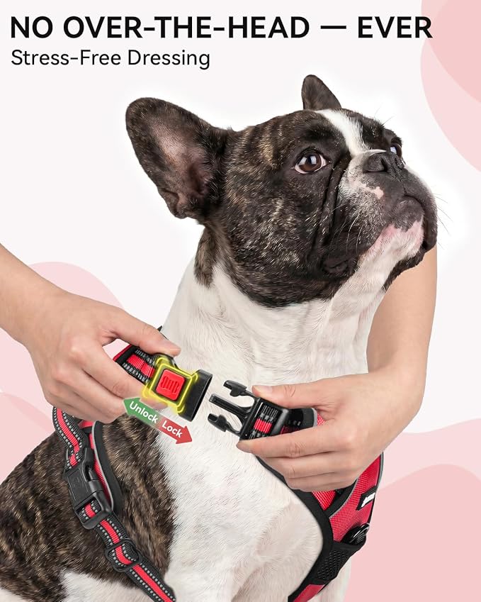 Joytale No Pull Dog Harness & Seat Belt, Easy On 3-Buckle, S, Red | Front Clip Reduces Pulling, Escape-Resistant Design, Adjustable Fit, Soft Padding for Comfort, Secure Tether for Safer Travel - Image 2
