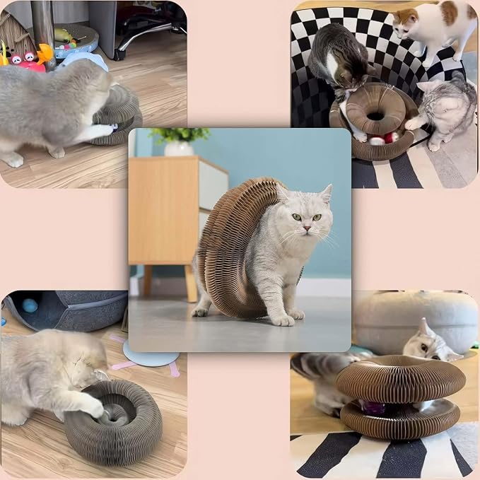 SREBAY Cat Toy Interactive, Accordion Kitty Wheel Exerciser | 2Pack, Magic Organ Scratcher Cardboard, Spiral Cat Tunnel, Ball Track Self Play Entertainment Toy - Image 6
